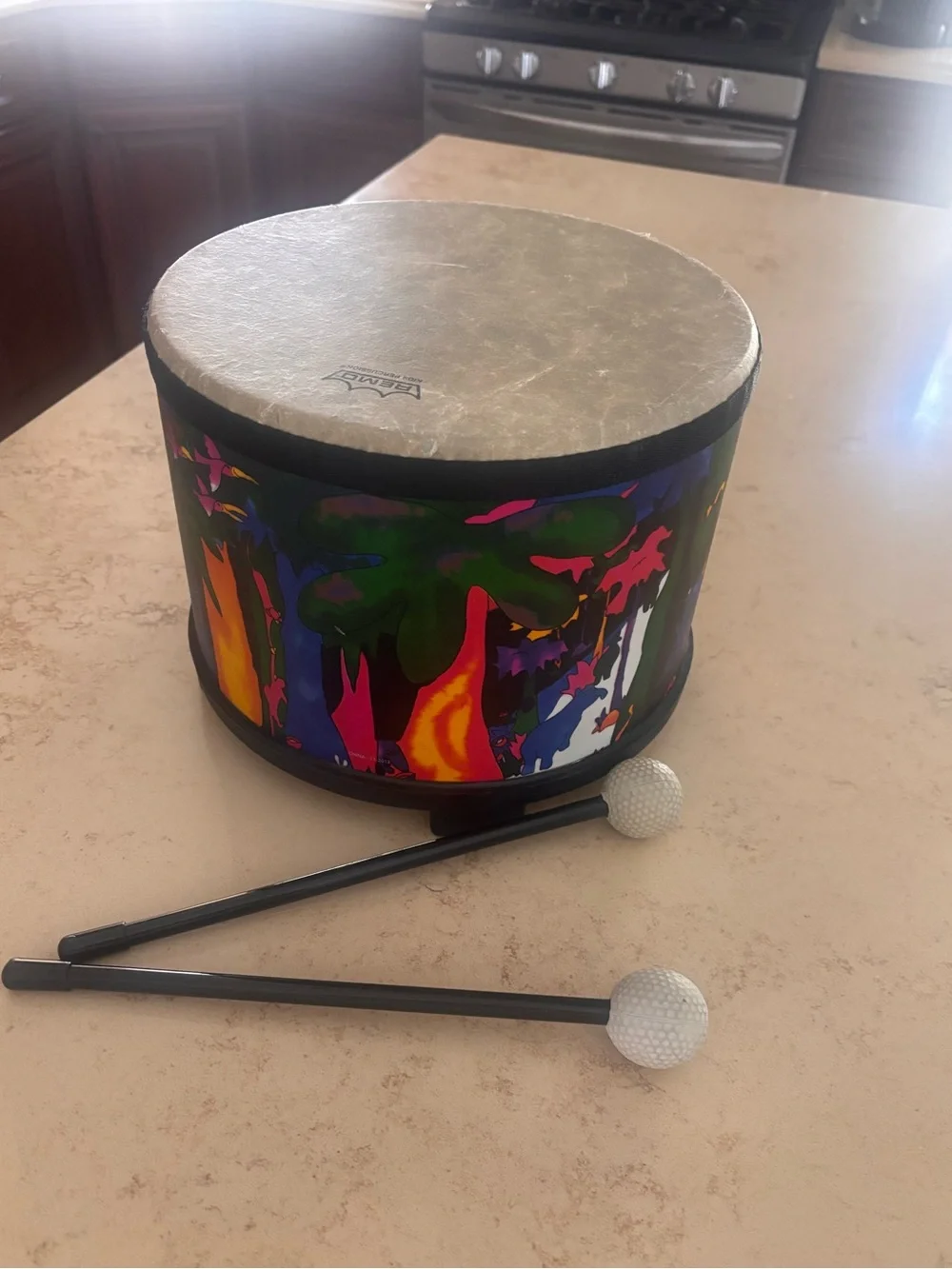 Remo Kids Percussion Drum